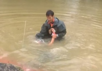 В США во время паводка спасли женщину, которая почти утонула в машине. Она попросила нырнуть за собакой