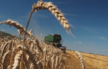 В России прогнозируется рекордный урожай зерна со времен СССР