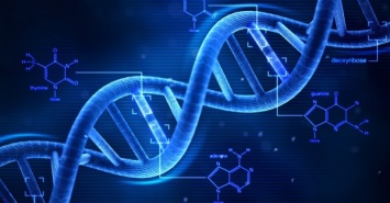 Ученые: Компьютерный анализ ДНК поможет обнаружить редкие заболевания