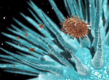 Время заражения вирусом влияет на интенсивность инфекции - ученые