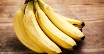 Уже через 5 лет бананы могут исчезнуть!