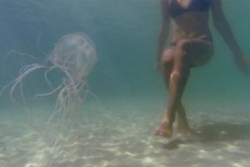 Таиланд: Ночное купание на Самуи стало опаснее из-за ядовитых медуз