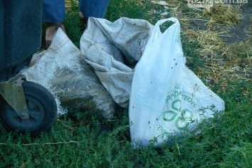 На КАТП Славянска трупы животных выбрасывают в мусорный бак