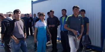 Три тысячи мигрантов лишатся работы в Новосибирской области из-за запрета на профессии