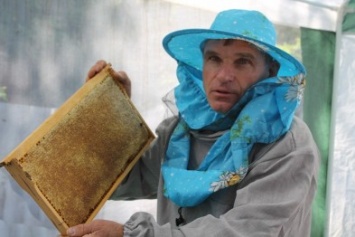 В Славянске проходит уникальный мастер-класс по качке меда