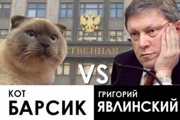 Народный мэр Барнаула Барсик намерен провести политическую дуэль