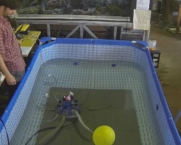 Ученые из Италии создали робота-осьминога