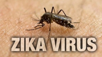 В штате Флорида вирусом Зика больны уже 35 человек