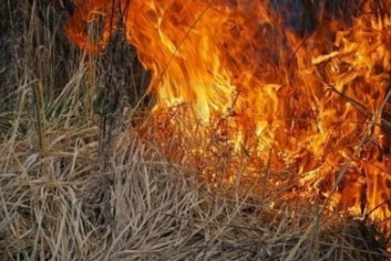 На Донецкой фильтровальной станции произошел пожар