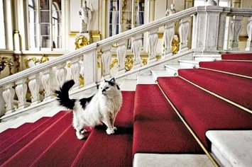В Петербурге рассказали о происхождении кота Петра Великого