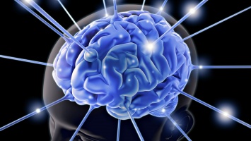 Ученые: Мозг человека оказался более устойчив, чем считалось ранее