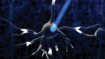 Ученые усовершенствовали систему оптогенетики для отображения связей в мозге