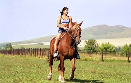 На выезде из Петрозаводска женщина погибла, упав с лошади