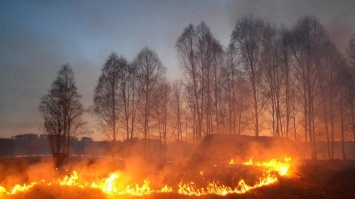 Возле Львова произошел масштабный пожар