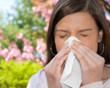 Ученые проследили происхождение аллергии