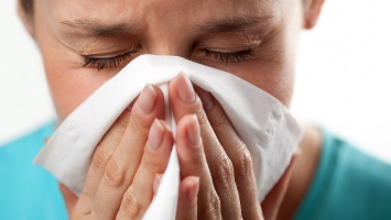 Ученые: Аллергия произошла в результате сбоя в иммунной системе человека