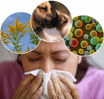 Британские ученые выявили происхождение аллергии
