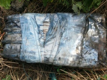 Под мостом в Славянске рыбак нашел взрывное устройство