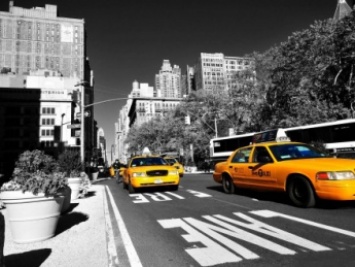 В Нью-Йорке таксисты смогут работать без знания английского