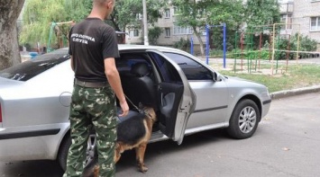 В Николаеве мужчина сообщил о возможном заминировании автомобиля