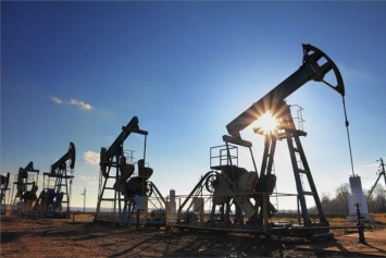 "Укрнафта" планирует в конце 2016 г. начать добывать нефть в Сумской области