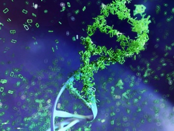 Молекулы ДНК человека скрывают загадочный текст