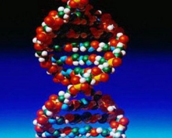 В молекулах ДНК человека нашли кодовую информация будущего