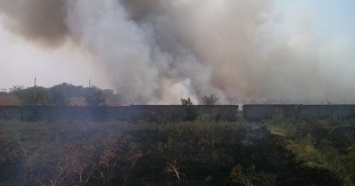 За прошедшую неделю на Николаевщине огонь охватил 72 гектара травы и мусора