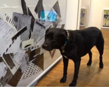 В Лондоне открылась первая в мире выставка для собак