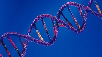 Ученые пытаются разгадать загадочный текст в ДНК человека