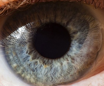 Ученые смогли распознать новое движение глаз человека