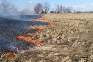 В одном из районов "ЛНР" за сутки произошло 12 пожаров