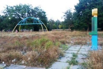 "Все заросло травой, колючками, везде мусор - парком трудно назвать", - херсонка о Шуменском парке (фото)