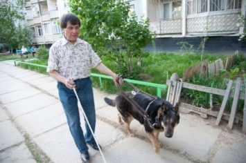 В Ростове собака-поводырь чуть не утопила слабовидящего хозяина, спасая пловцов