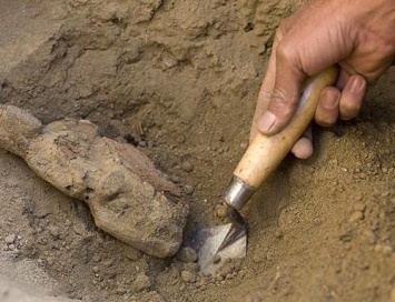 На Алтае нашли древнейшую в мире иглу