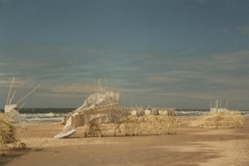 «Пляжные звери» Тео Янсена: загадочные механизмы кинетического скульптора