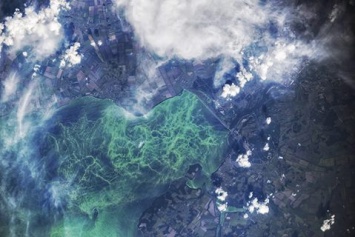 Цветение Кременчугского моря показали из космоса