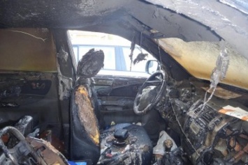 В Киеве догхантеру сожгли машину (ФОТО)