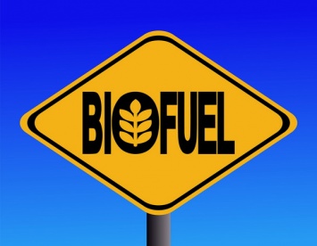 Переход на биотопливо только увеличит выбросы углекислого газа в атмосферу
