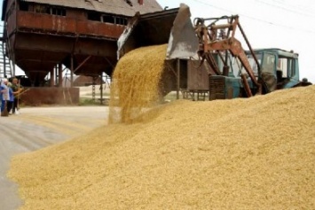 Полиция Геническа открыла уголовное дело по факту кражи имущества с зернотока