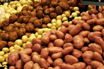 Себестоимость картофеля в Черниговской области возросла