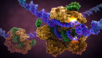 CRISPR/Cas9 научили редактировать ДНК без разрыва