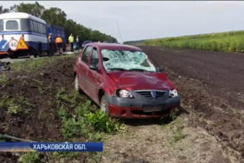 Работников автодора в Харьковской области сбил пенсионер (Видео)