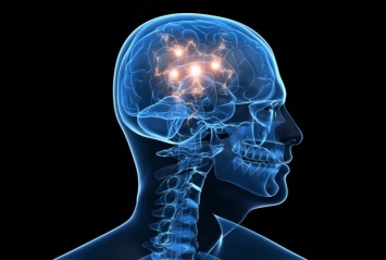 Ученые разработали новый способ изучения работы мозга