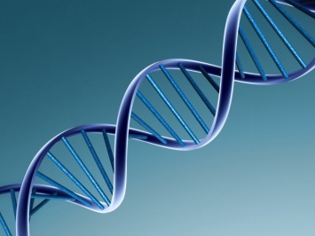 Ученые: Скоро появится возможность восстанавливать облик по ДНК