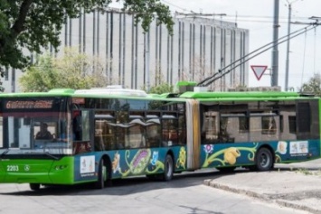 В горсовете говорят, что трамваи и троллейбусы ездят по расписанию