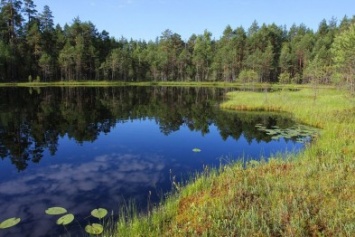 На Полтавщине за 32 тысячи можно купить озеро