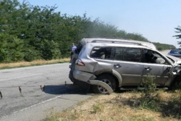В Херсонской области автомобиль «Mitsubishi» слетел в кювет