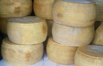 Из Украины в Россию пытались незаконно вывезти почти 140 кг сыра
