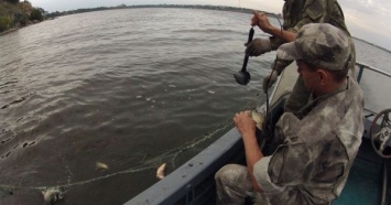 Рыбоохрана выловила с Южного Буга 4 браконьерские сети
